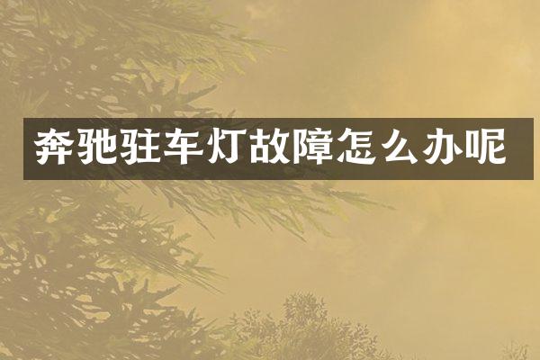 奔驰驻车灯故障怎么办呢