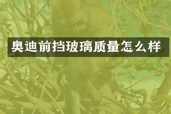 奥迪前挡玻璃质量怎么样