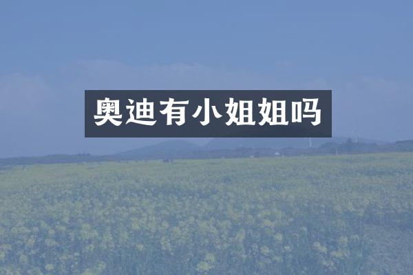 奥迪有姐吗
