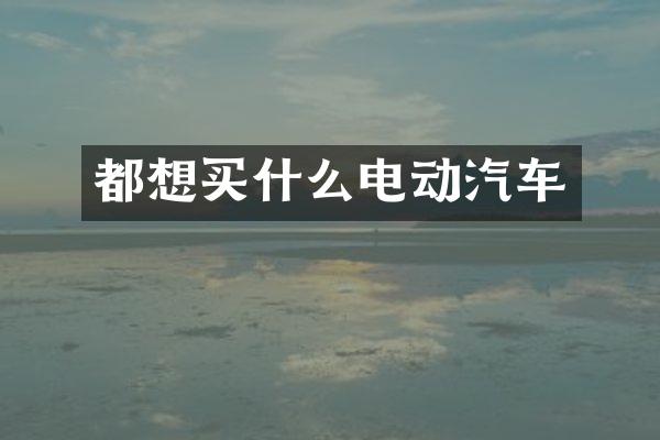 都想电动汽车