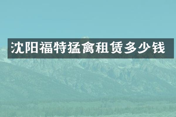 沈阳福特猛禽租赁多少钱