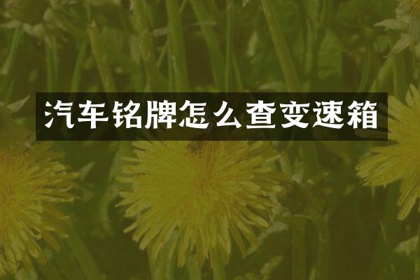 汽车铭牌怎么查变速箱