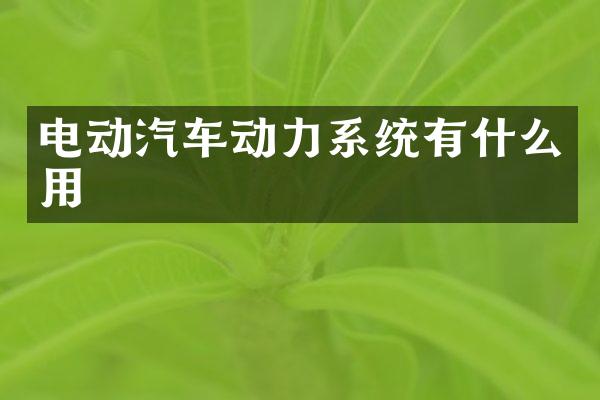 电动汽车动力系统有什么用