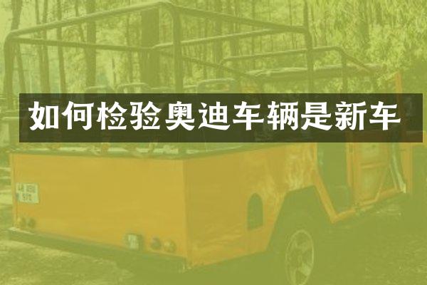 如何检验奥迪车辆是新车