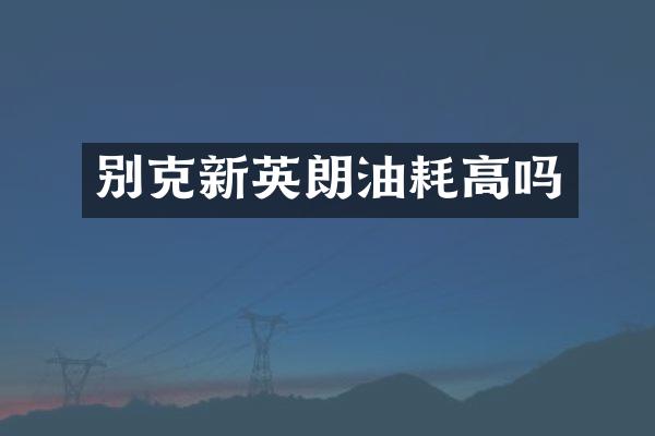 别克新英朗油耗高吗