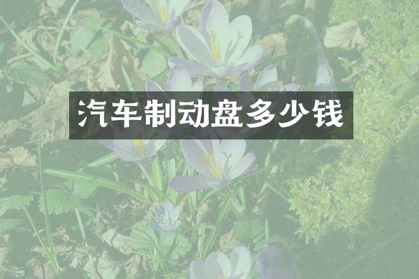 汽车制动盘多少钱