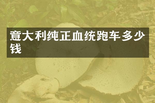 意大利纯正血统跑车多少钱