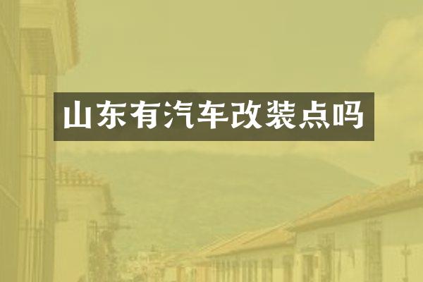 山东有汽车改装点吗