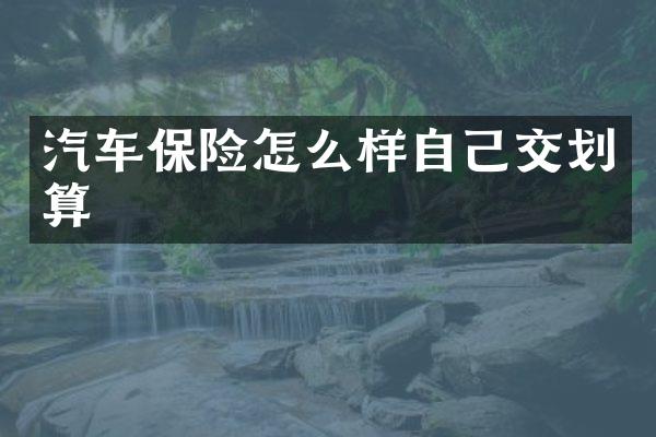 汽车保险怎么样自己交划算