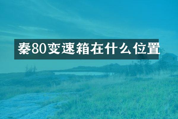 秦80变速箱在什么位置