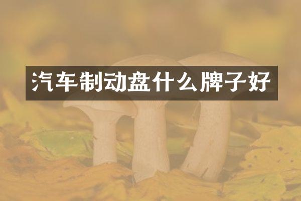 汽车制动盘什么牌子好