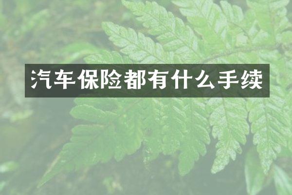 汽车保险都有什么手续