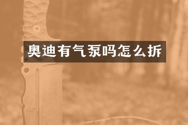 奥迪有气泵吗怎么拆