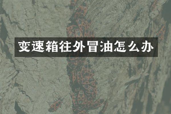 变速箱往外冒油怎么办