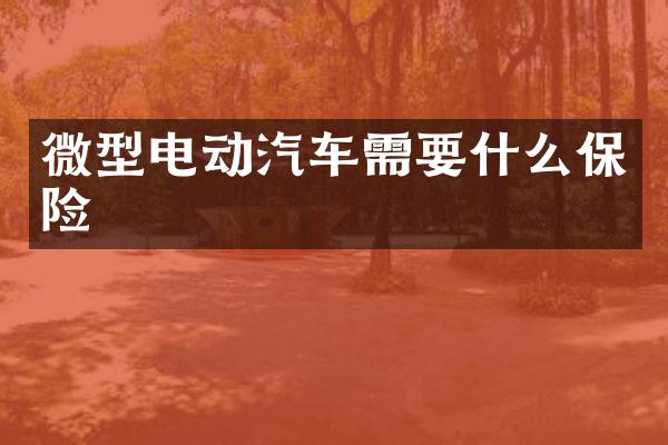 微型电动汽车需要什么保险