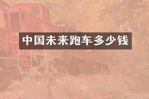 中国未来跑车多少钱
