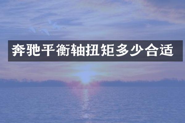 奔驰平衡轴扭矩多少合适