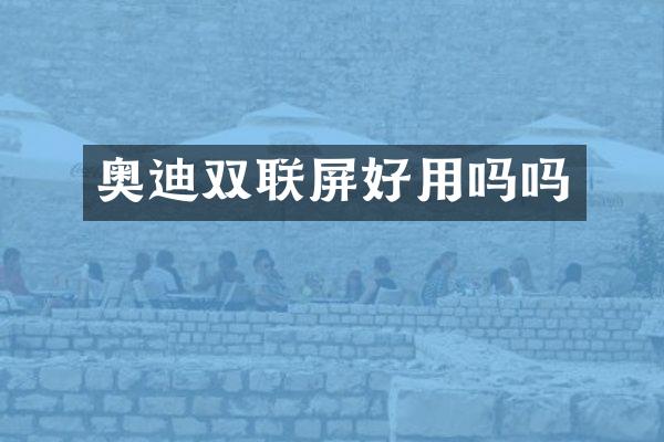 奥迪双联屏好用吗吗