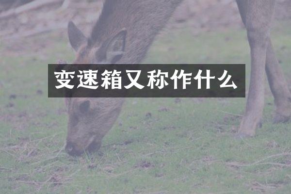 变速箱又称作什么