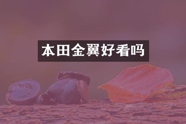 本田金翼好看吗