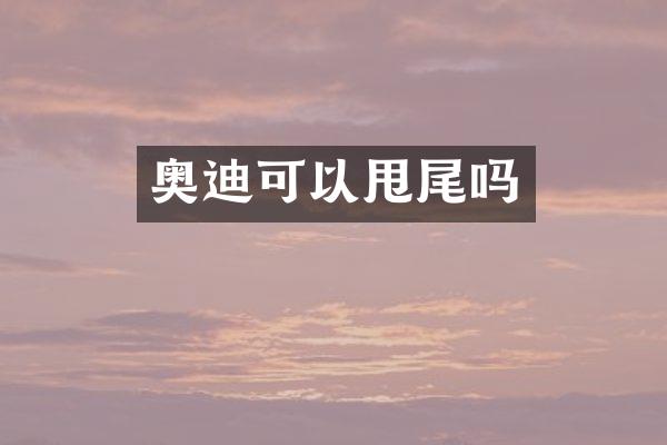 奥迪可以甩尾吗