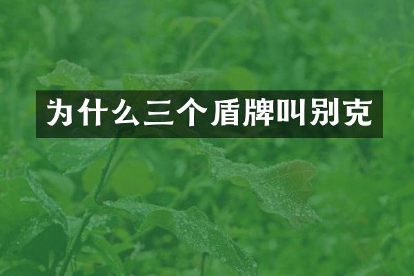 为什么三个盾牌叫别克