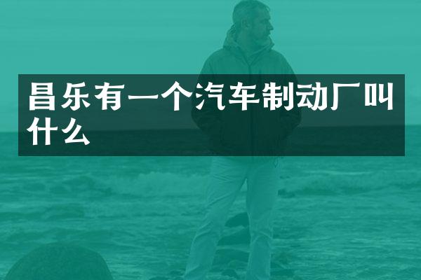 昌乐有一个汽车制动厂叫什么