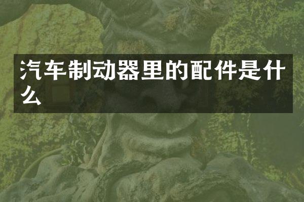 汽车制动器里的配件是什么