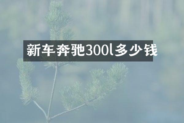 新车奔驰300l多少钱