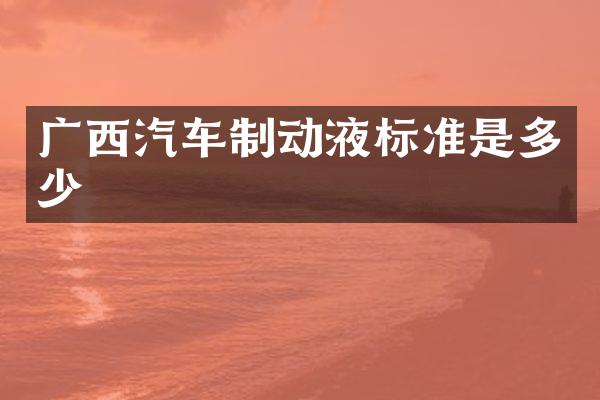 广西汽车制动液标准是多少