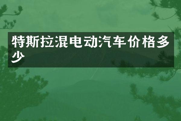 特斯拉混电动汽车价格多少