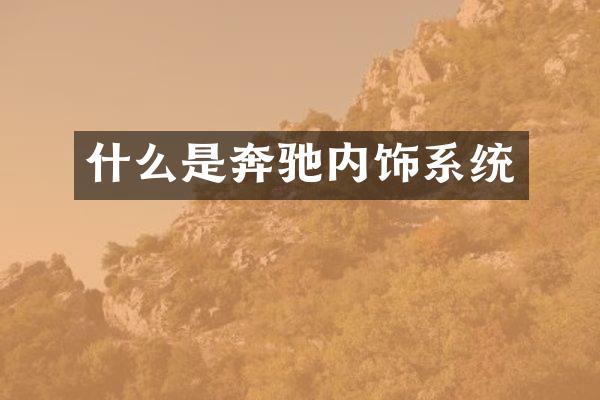 什么是奔驰内饰系统