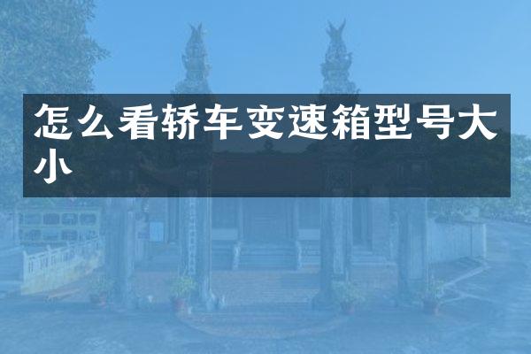 怎么看轿车变速箱型号大小