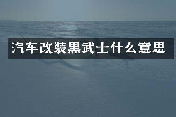 汽车改装黑武士什么意思