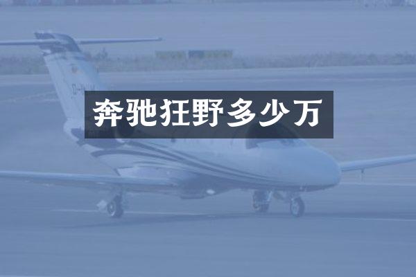奔驰狂野多少万