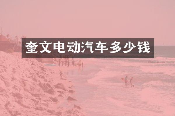 奎文电动汽车多少钱
