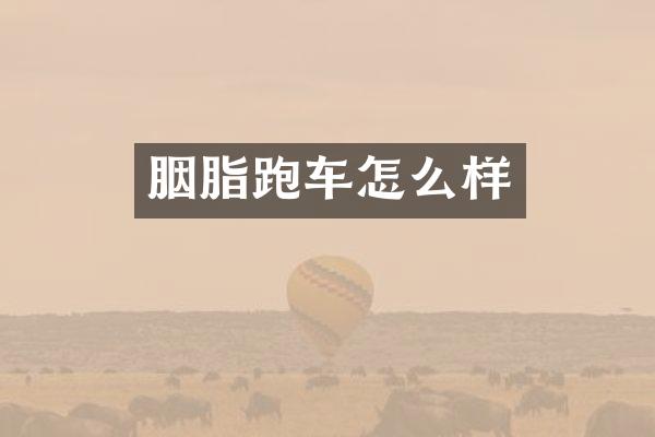 胭脂跑车怎么样
