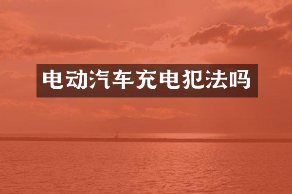 电动汽车充电犯法吗