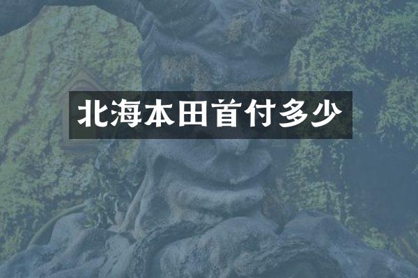 北海本田首付多少