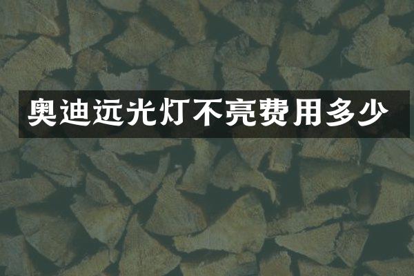 奥迪远光灯不亮费用多少