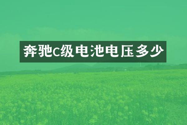 奔驰c级电池电压多少