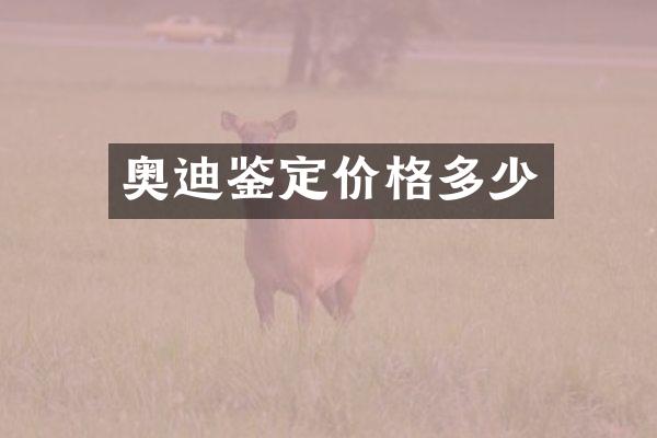 奥迪鉴定价格多少