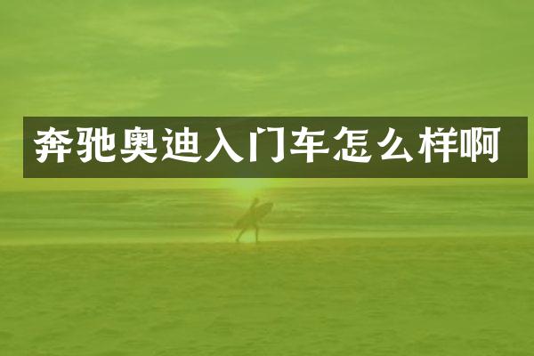 奔驰奥迪入门车怎么样啊