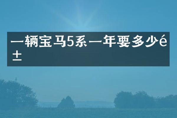 一辆宝马5系一年要多少钱
