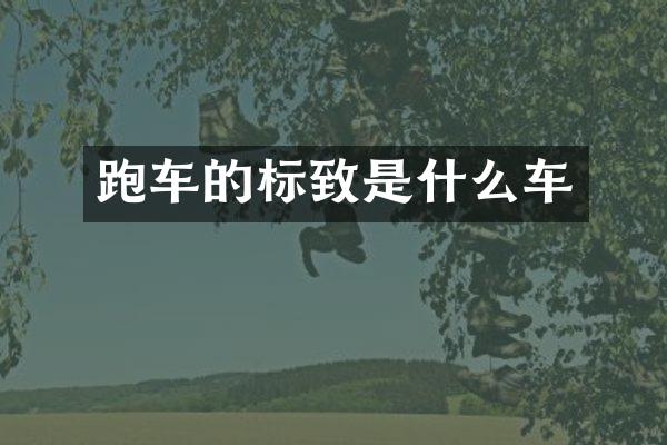 跑车的标致是什么车