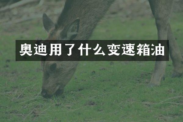 奥迪用了什么变速箱油