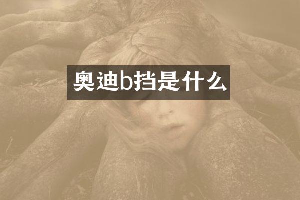奥迪b挡是什么