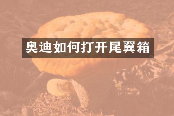 奥迪如何打开尾翼箱
