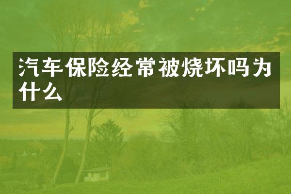 汽车保险经常被烧坏吗为什么