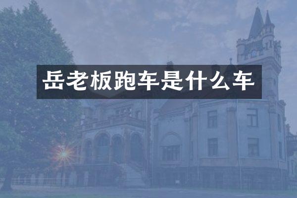 岳老板跑车是什么车